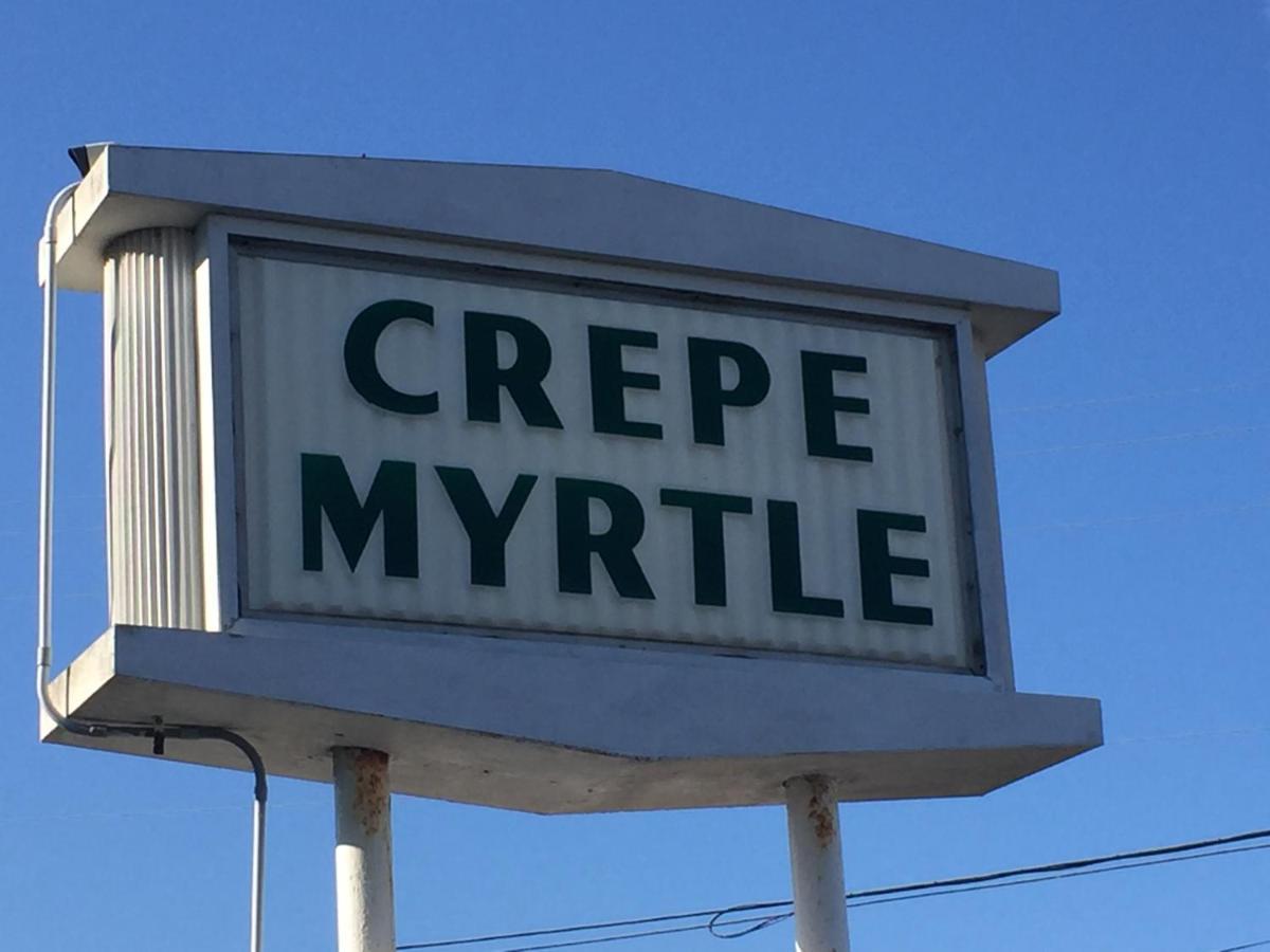 Crepe Myrtle Inn Μιρτλ Μπιτς Εξωτερικό φωτογραφία